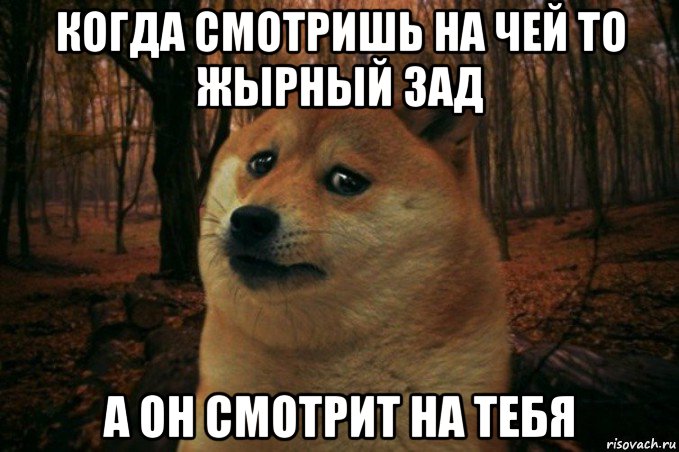 когда смотришь на чей то жырный зад а он смотрит на тебя, Мем SAD DOGE