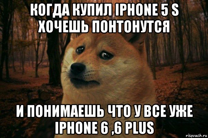 когда купил iphone 5 s хочешь понтонутся и понимаешь что у все уже iphone 6 ,6 plus, Мем SAD DOGE