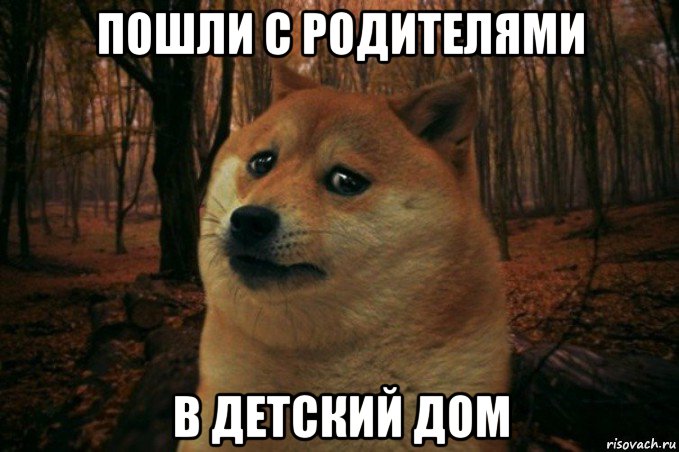 пошли с родителями в детский дом, Мем SAD DOGE