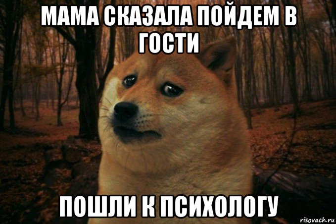 мама сказала пойдем в гости пошли к психологу, Мем SAD DOGE