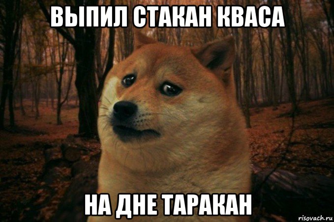 выпил стакан кваса на дне таракан, Мем SAD DOGE