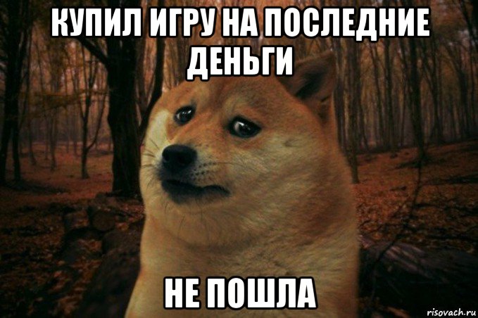 купил игру на последние деньги не пошла, Мем SAD DOGE