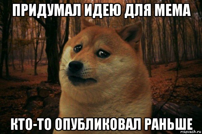 придумал идею для мема кто-то опубликовал раньше, Мем SAD DOGE