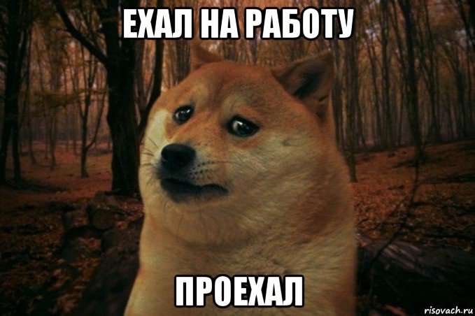 ехал на работу проехал, Мем SAD DOGE