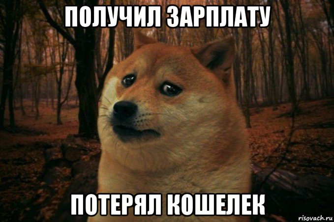 получил зарплату потерял кошелек, Мем SAD DOGE