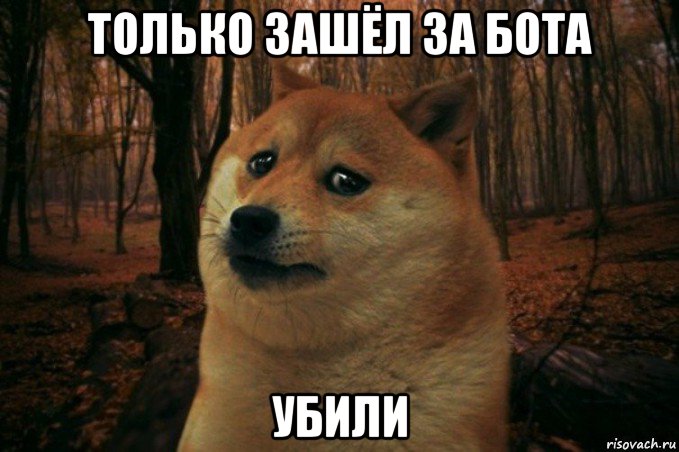 только зашёл за бота убили, Мем SAD DOGE