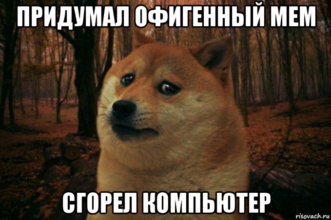 придумал офигенный мем сгорел компьютер, Мем SAD DOGE