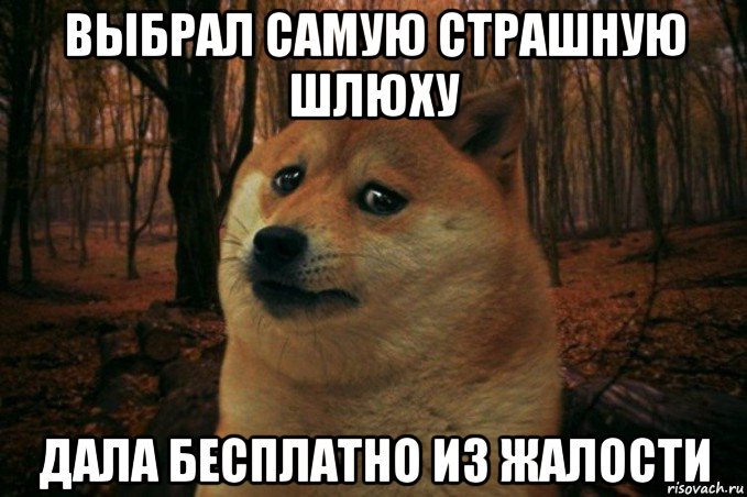 выбрал самую страшную шлюху дала бесплатно из жалости, Мем SAD DOGE