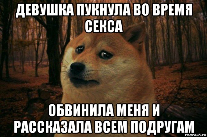 девушка пукнула во время секса обвинила меня и рассказала всем подругам, Мем SAD DOGE