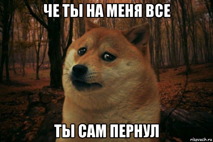 че ты на меня все ты сам пернул, Мем SAD DOGE