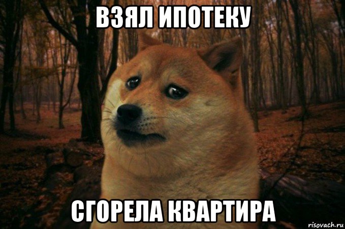 взял ипотеку сгорела квартира, Мем SAD DOGE