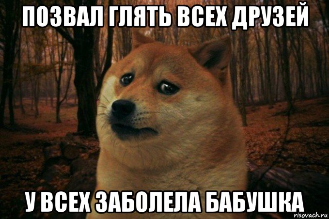 позвал глять всех друзей у всех заболела бабушка, Мем SAD DOGE