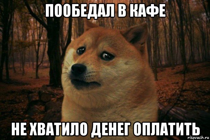 пообедал в кафе не хватило денег оплатить, Мем SAD DOGE