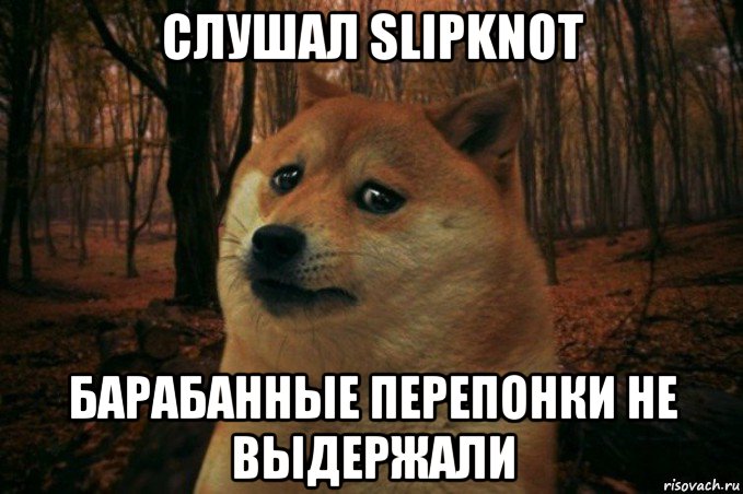 слушал slipknot барабанные перепонки не выдержали, Мем SAD DOGE