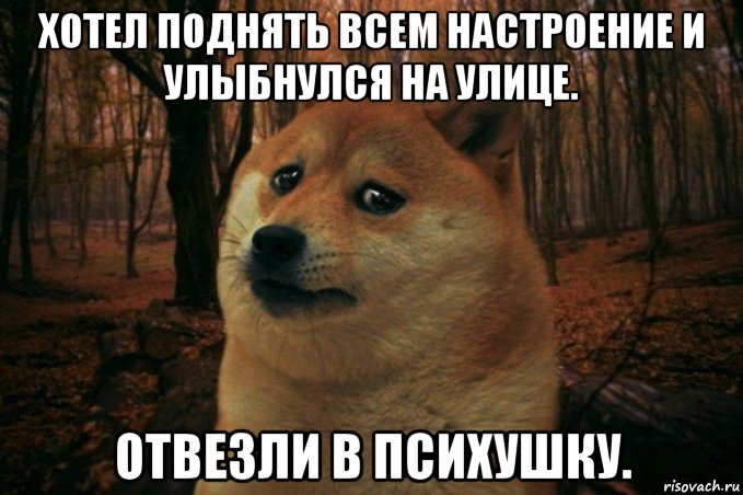 хотел поднять всем настроение и улыбнулся на улице. отвезли в психушку., Мем SAD DOGE