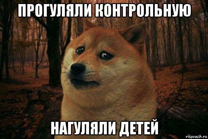 прогуляли контрольную нагуляли детей, Мем SAD DOGE