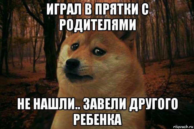 играл в прятки с родителями не нашли.. завели другого ребенка, Мем SAD DOGE