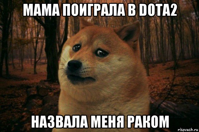 мама поиграла в dota2 назвала меня раком, Мем SAD DOGE