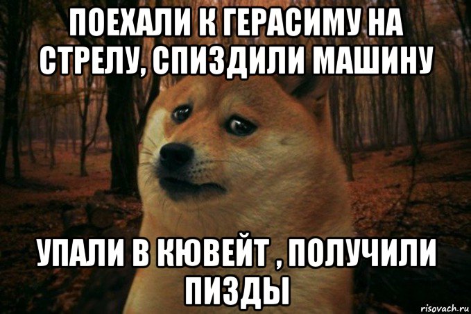 поехали к герасиму на стрелу, спиздили машину упали в кювейт , получили пизды, Мем SAD DOGE