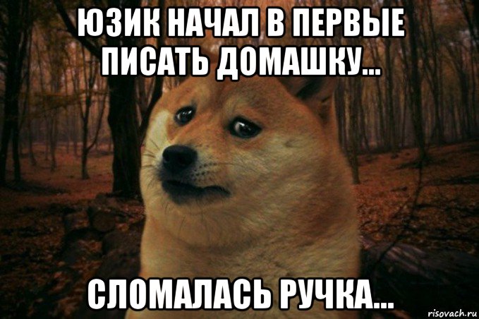 юзик начал в первые писать домашку... сломалась ручка..., Мем SAD DOGE