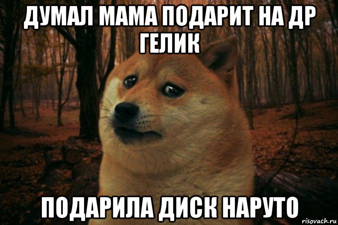 думал мама подарит на др гелик подарила диск наруто, Мем SAD DOGE