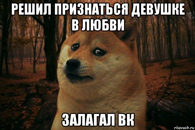 решил признаться девушке в любви залагал вк, Мем SAD DOGE