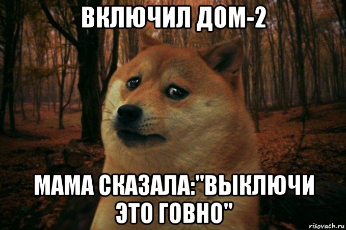 включил дом-2 мама сказала:"выключи это говно", Мем SAD DOGE