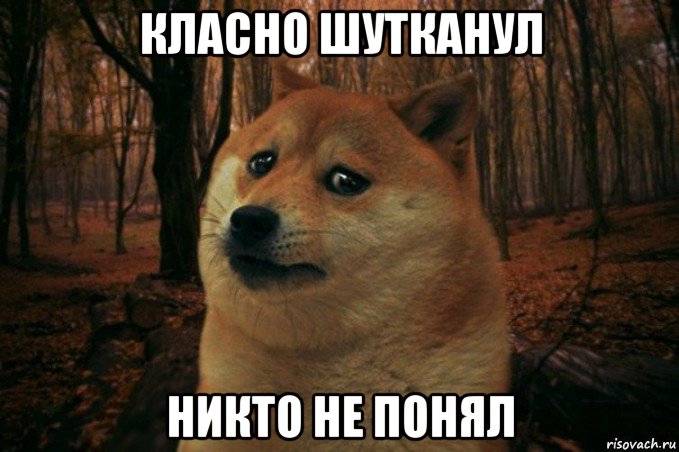 класно шутканул никто не понял, Мем SAD DOGE