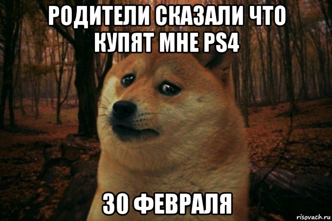 родители сказали что купят мне ps4 30 февраля, Мем SAD DOGE