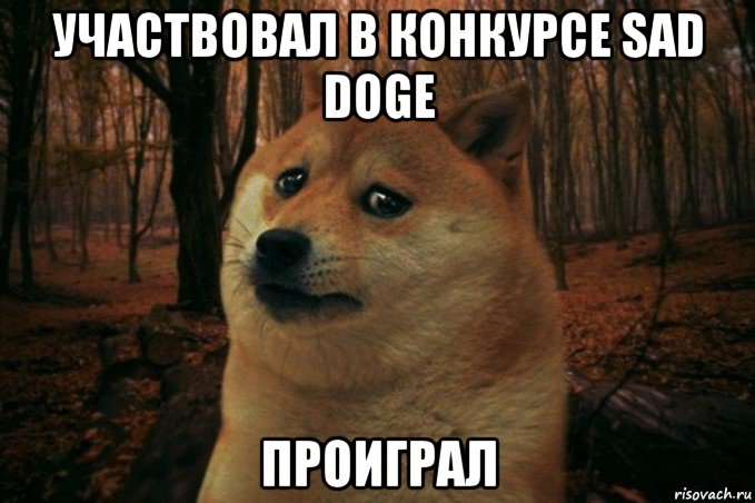 участвовал в конкурсе sad doge проиграл, Мем SAD DOGE