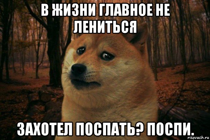 в жизни главное не лениться захотел поспать? поспи., Мем SAD DOGE