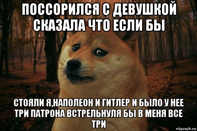 поссорился с девушкой сказала что если бы стояли я,наполеон и гитлер и было у нее три патрона встрельнуля бы в меня все три, Мем SAD DOGE