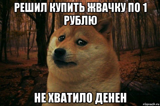 решил купить жвачку по 1 рублю не хватило денен, Мем SAD DOGE