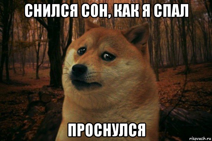 снился сон, как я спал проснулся, Мем SAD DOGE