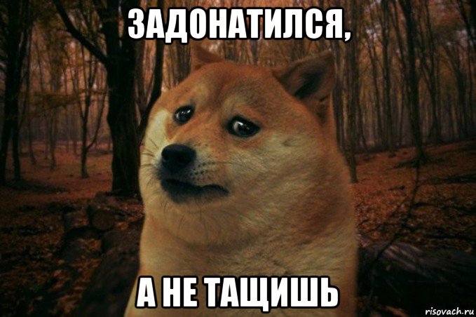 задонатился, а не тащишь, Мем SAD DOGE