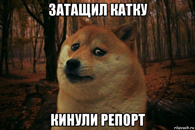 затащил катку кинули репорт, Мем SAD DOGE