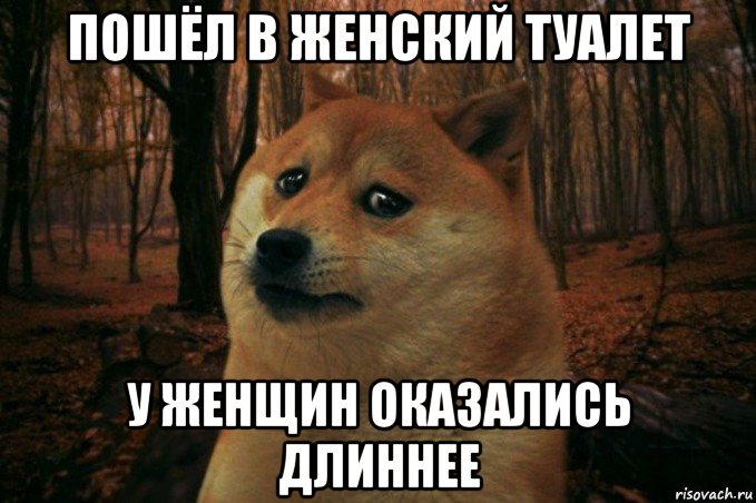 пошёл в женский туалет у женщин оказались длиннее, Мем SAD DOGE