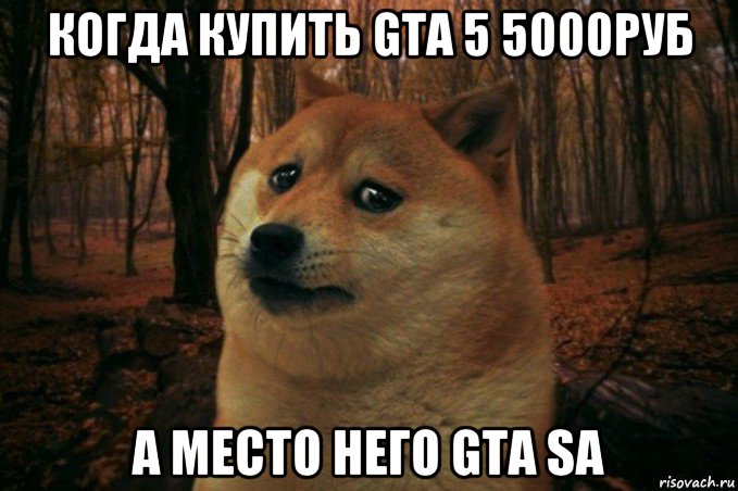 когда купить gta 5 5000руб а место него gta sa, Мем SAD DOGE