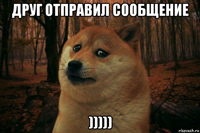 друг отправил сообщение ))))), Мем SAD DOGE