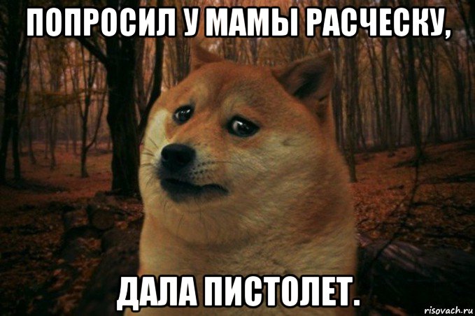 попросил у мамы расческу, дала пистолет., Мем SAD DOGE