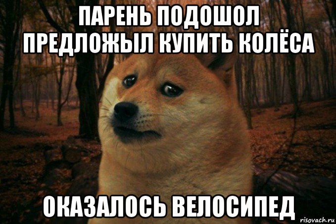 парень подошол предложыл купить колёса оказалось велосипед, Мем SAD DOGE