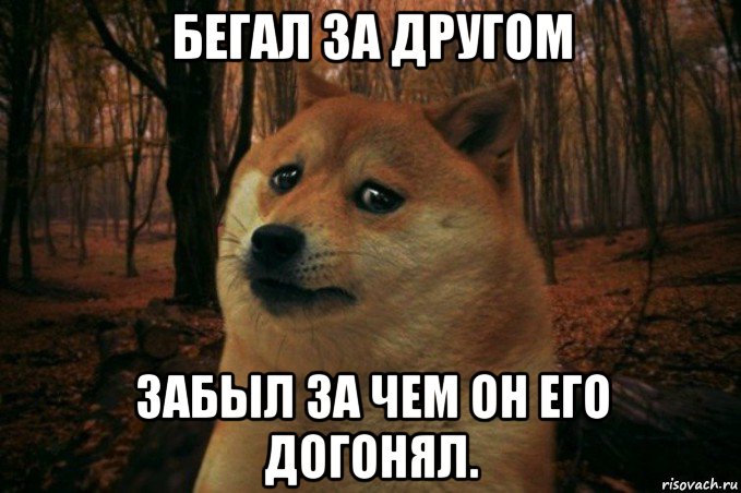 бегал за другом забыл за чем он его догонял., Мем SAD DOGE