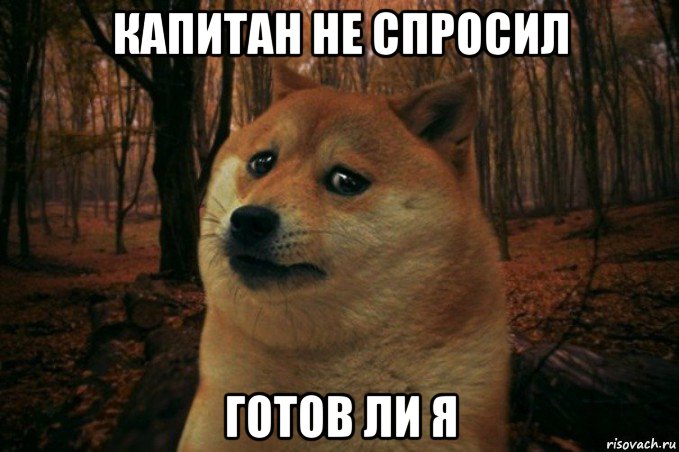 капитан не спросил готов ли я, Мем SAD DOGE