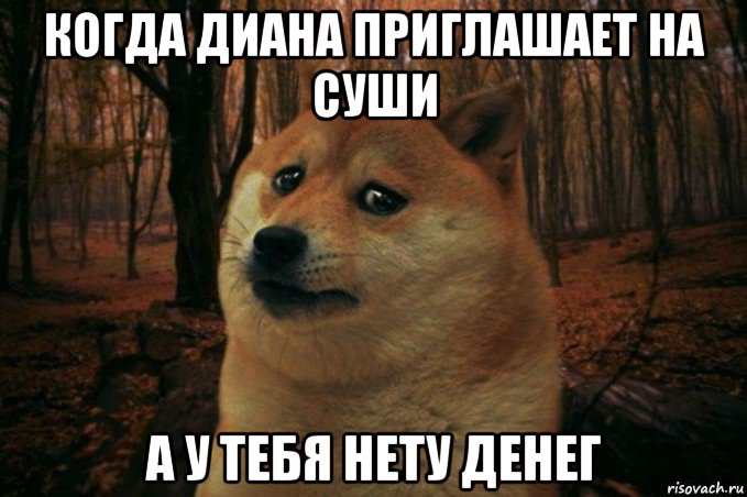 когда диана приглашает на суши а у тебя нету денег, Мем SAD DOGE