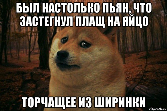 был настолько пьян, что застегнул плащ на яйцо торчащее из ширинки, Мем SAD DOGE