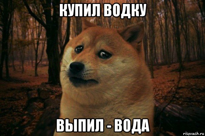 купил водку выпил - вода, Мем SAD DOGE