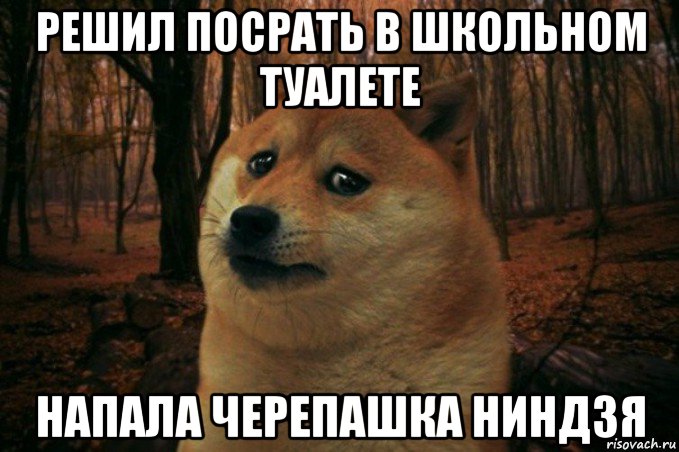 решил посрать в школьном туалете напала черепашка ниндзя, Мем SAD DOGE