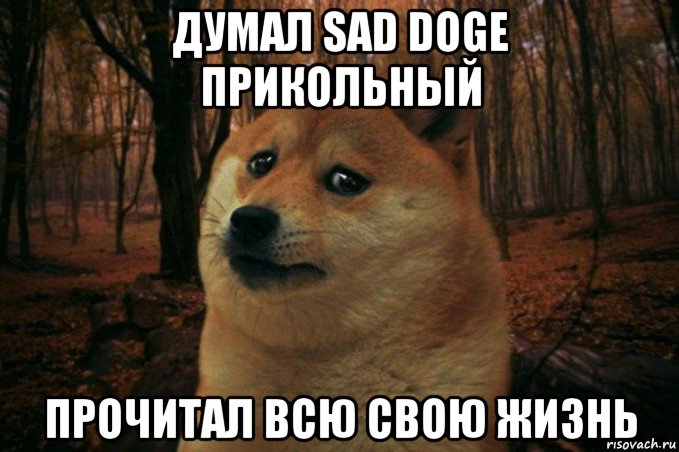 думал sad doge прикольный прочитал всю свою жизнь, Мем SAD DOGE