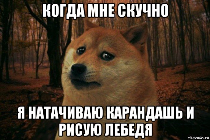 когда мне скучно я натачиваю карандашь и рисую лебедя, Мем SAD DOGE