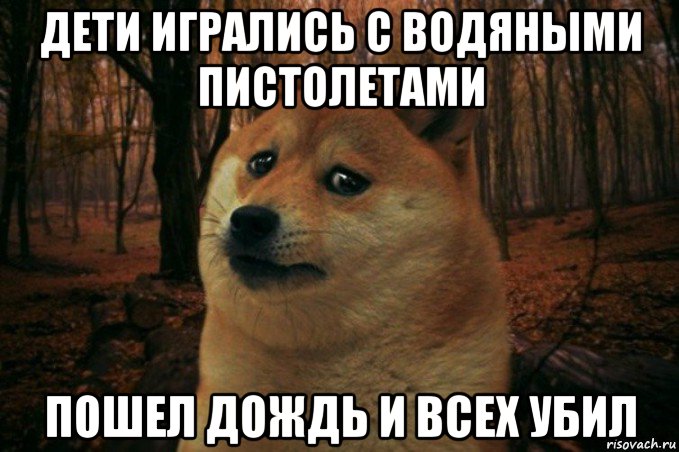 дети игрались с водяными пистолетами пошел дождь и всех убил, Мем SAD DOGE